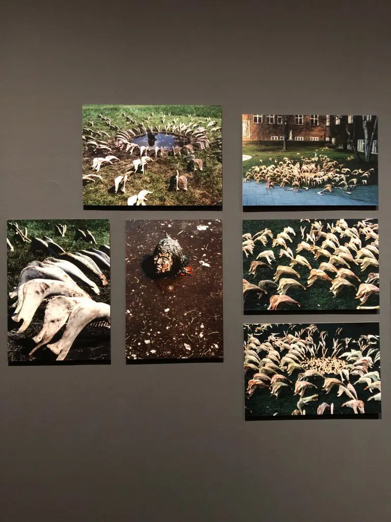 希少　塩田千春展　魂がふるえる　図録 塩田千春 魂がふるえる | 株式会社美術出版社｜アートを社会に